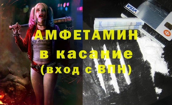 шишки Алексин