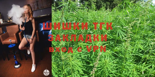 индика Абдулино