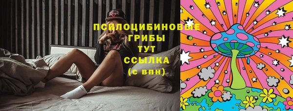 МДПВ Алзамай