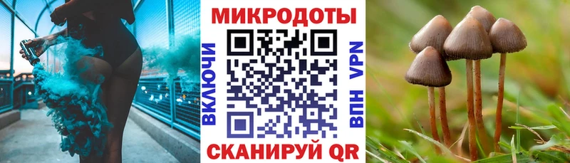 Галлюциногенные грибы Cubensis  купить  сайты  Починок 
